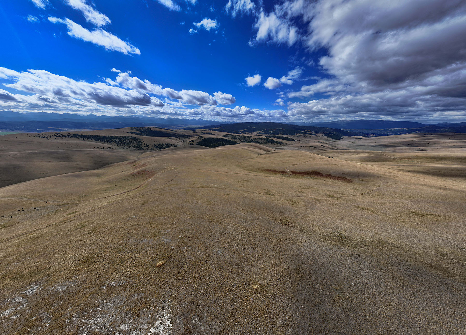 Rocking Chair Ranch property picture 80 of 80