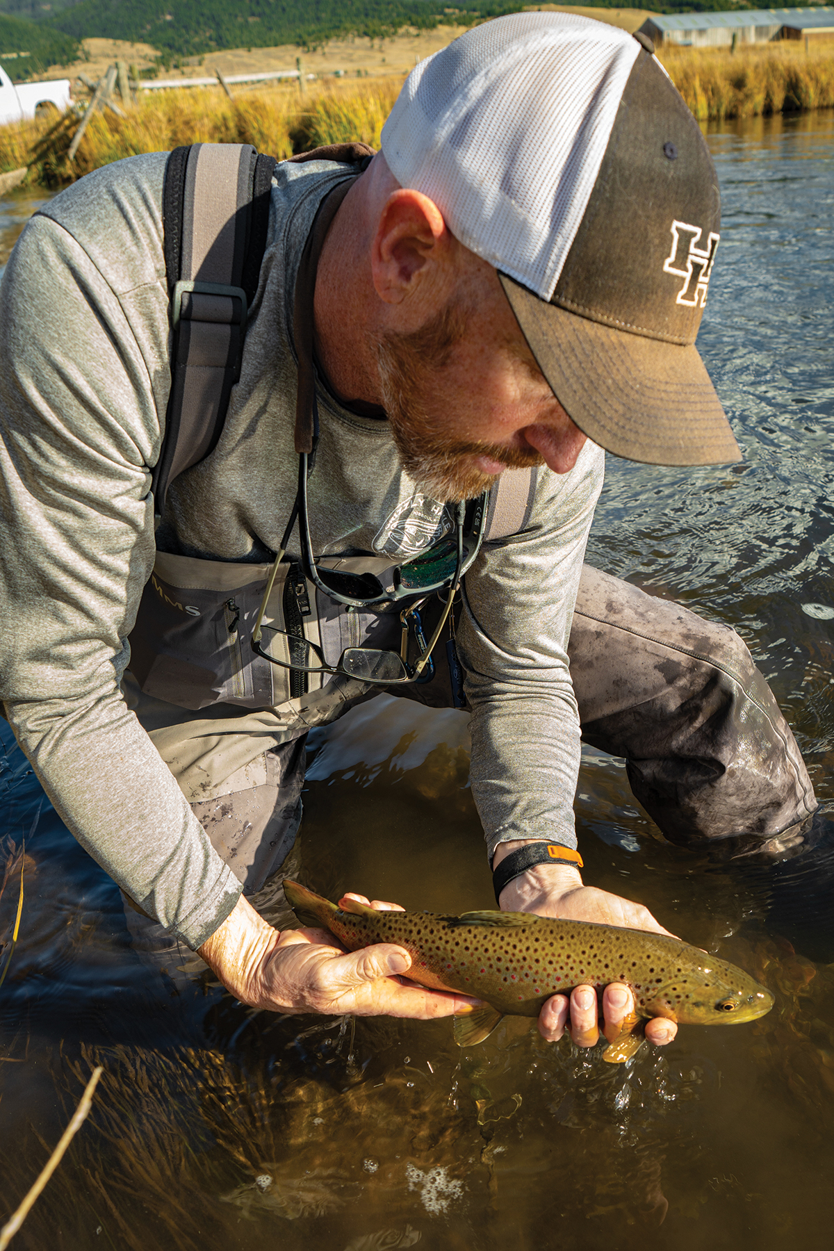 Rocking Chair Ranch property picture 17 of 80