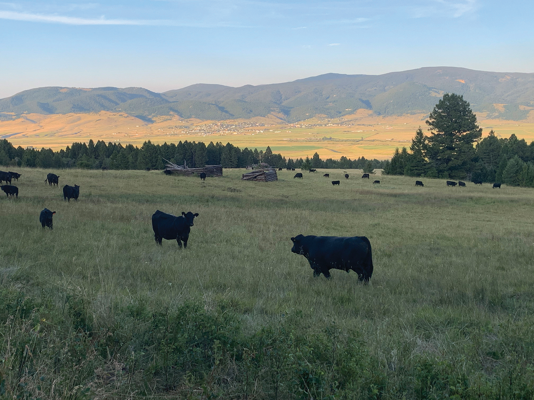 Rocking Chair Ranch property picture 54 of 80