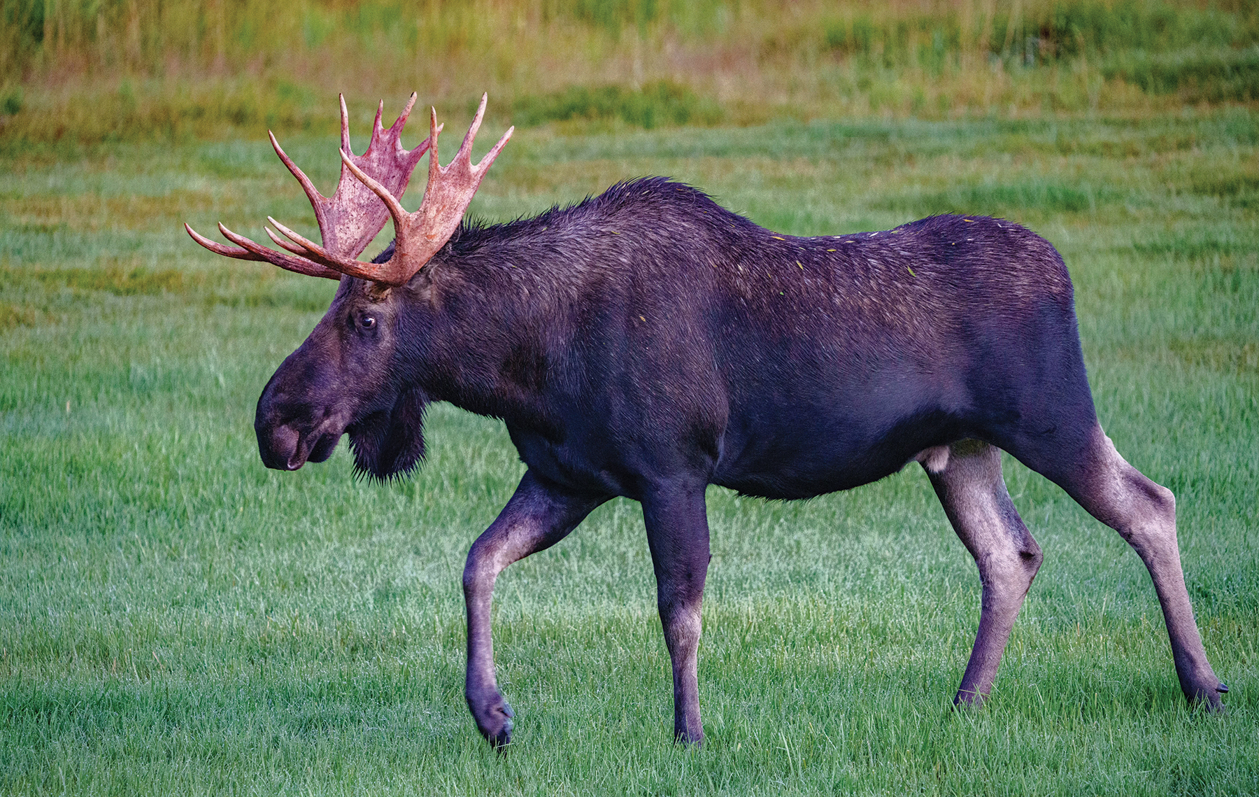 Rocking Chair Ranch property picture 28 of 80