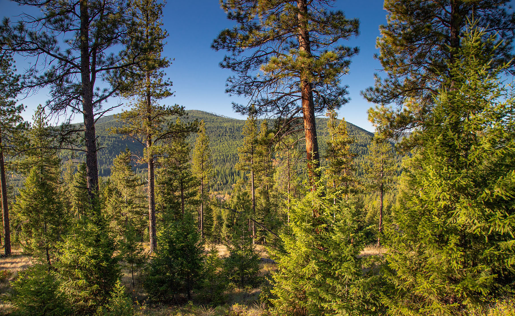 Haskill Mountain Retreat property picture 38 of 46