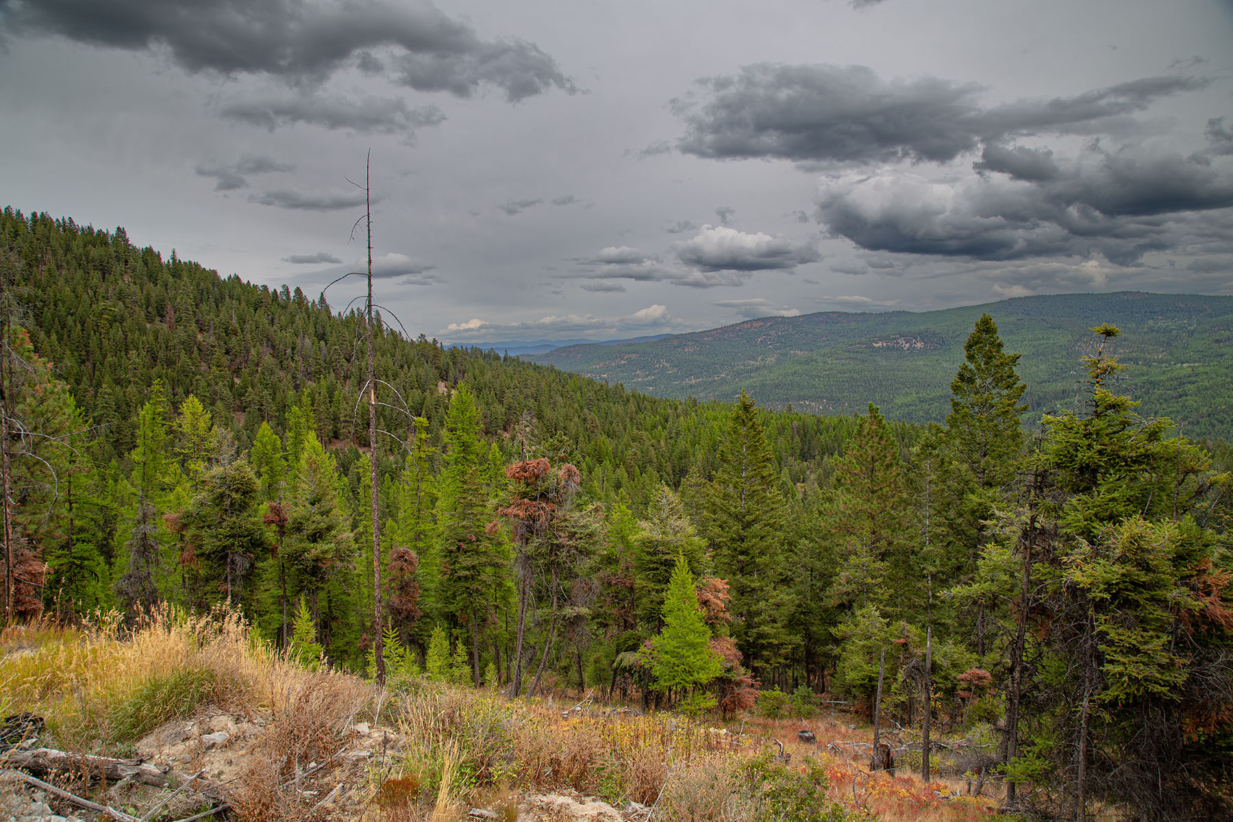 Haskill Mountain Retreat property picture 21 of 46