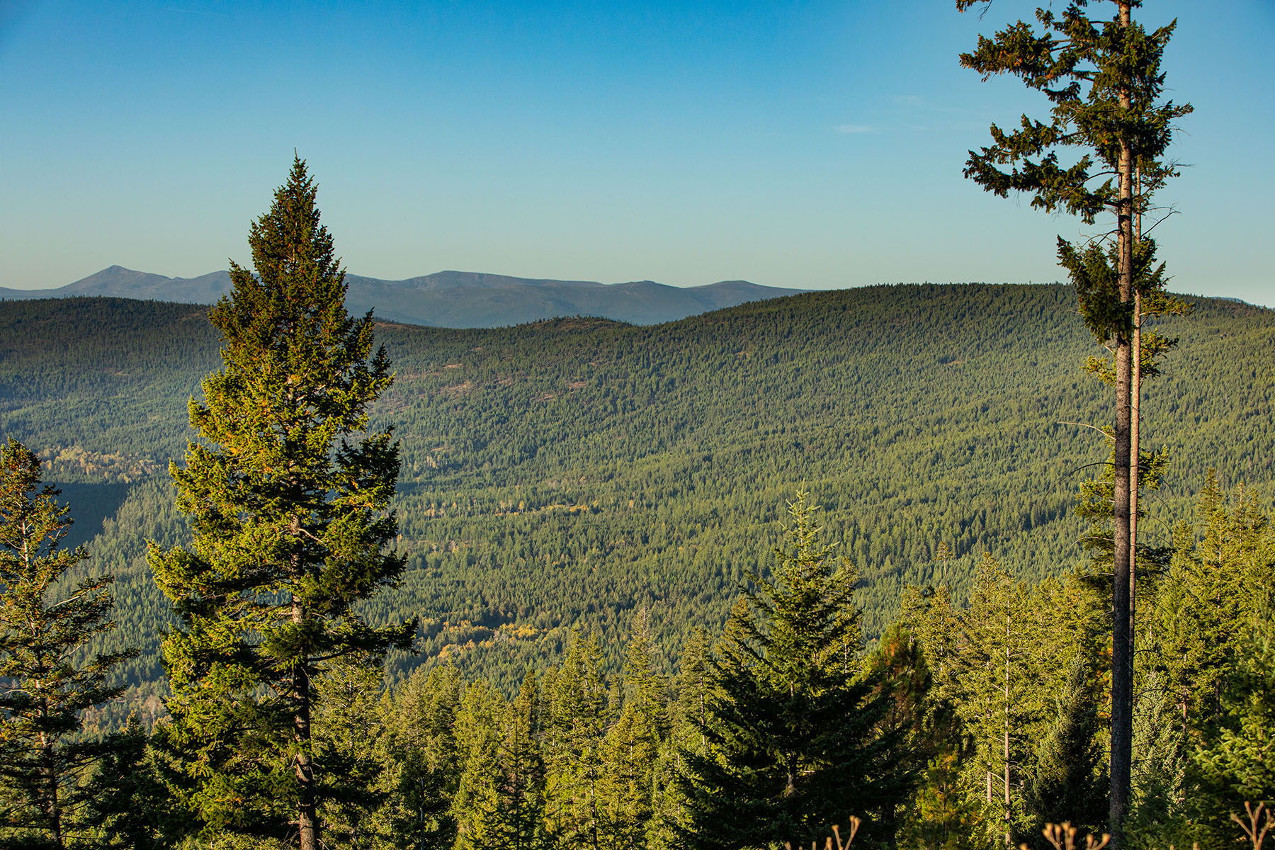 Haskill Mountain Retreat property picture 35 of 46