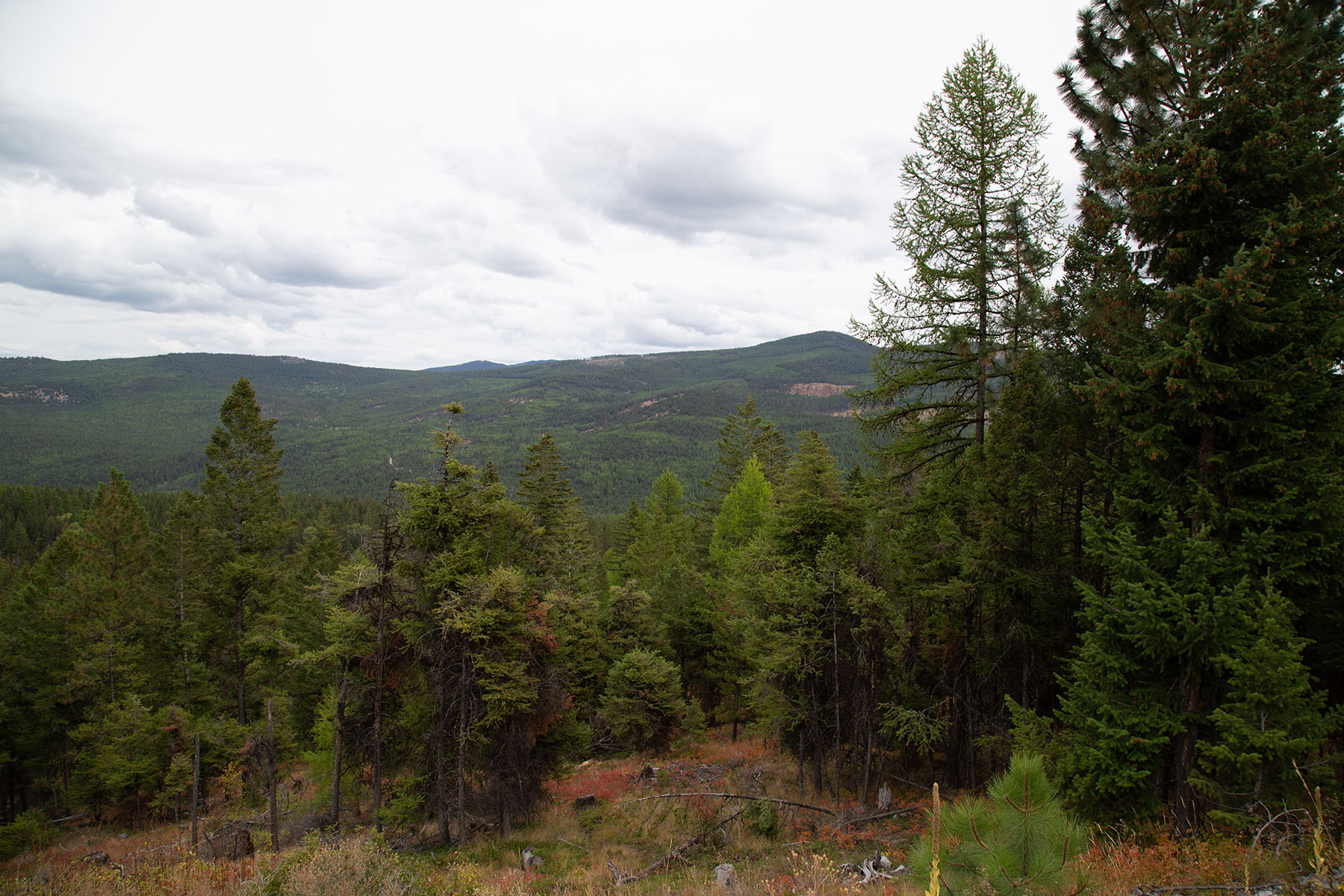 Haskill Mountain Retreat property picture 23 of 46