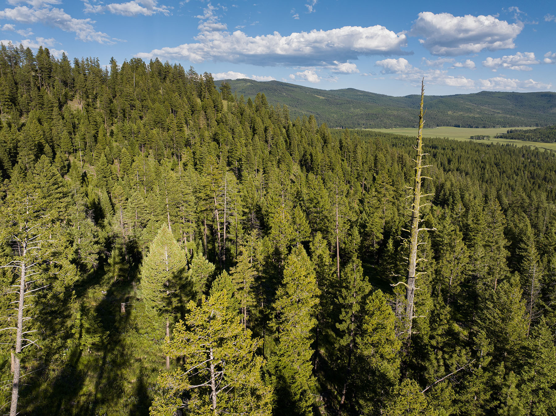 Haskill Mountain Retreat property picture 29 of 46