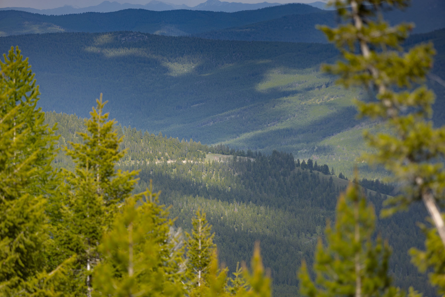 Haskill Mountain Retreat property picture 30 of 46