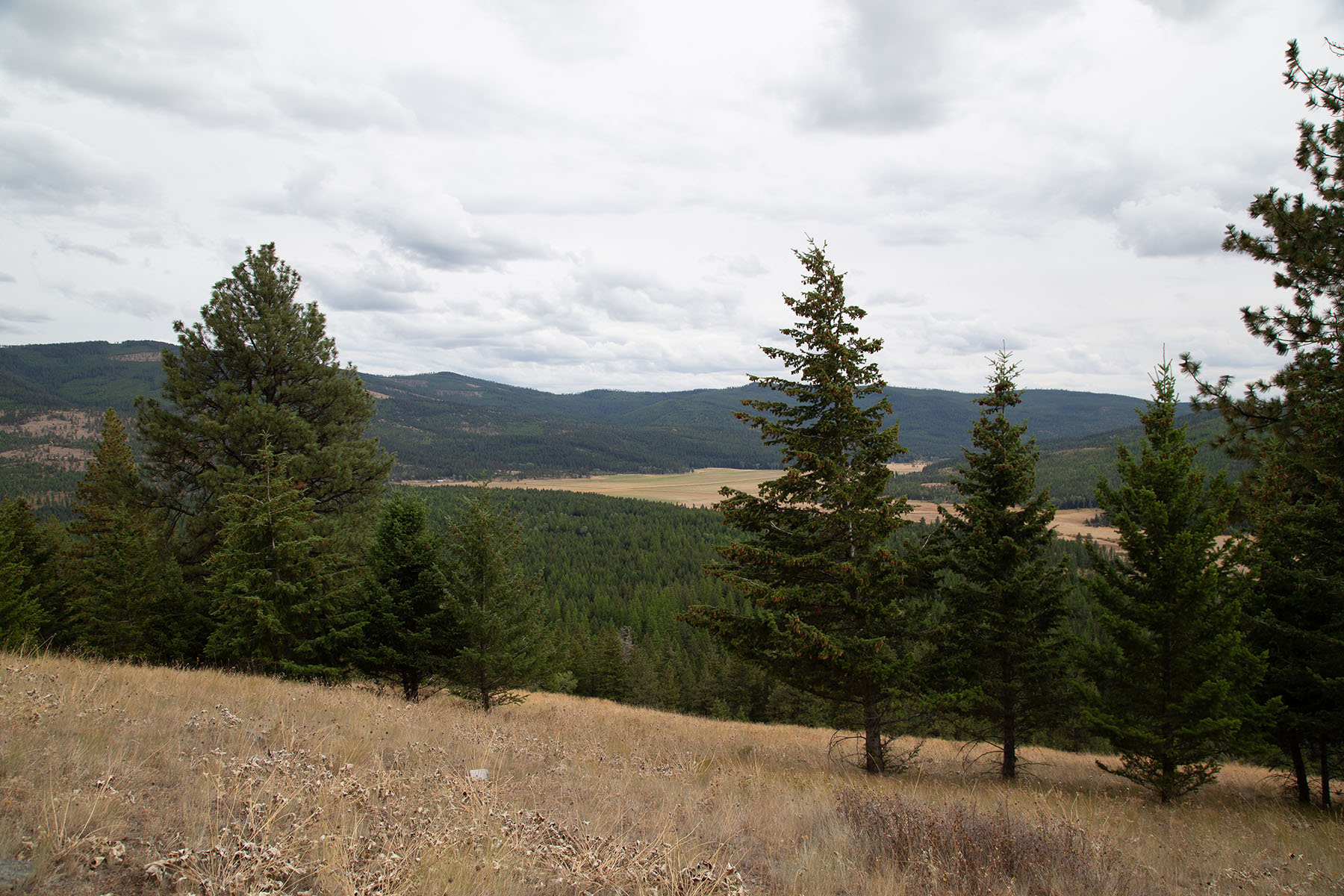 Haskill Mountain Retreat property picture 37 of 46