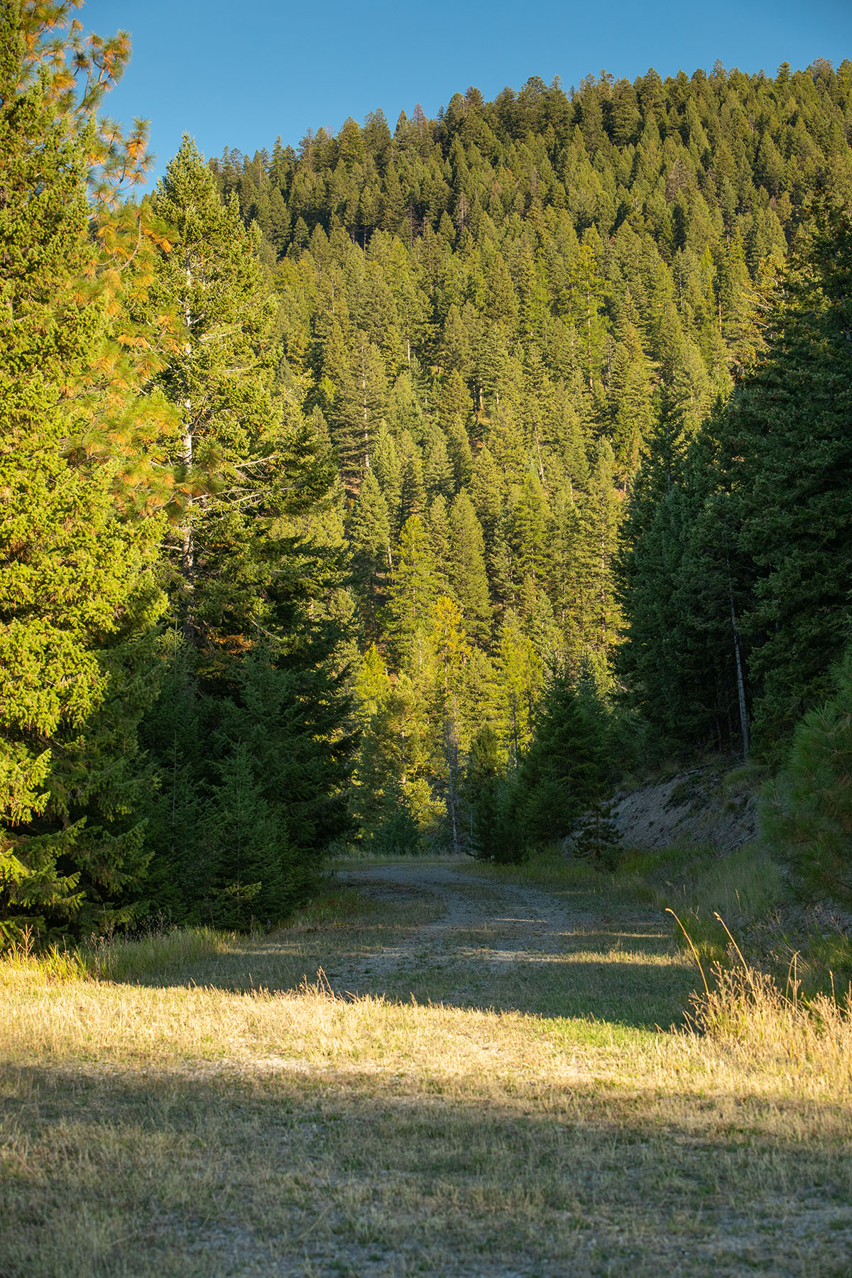 Haskill Mountain Retreat property picture 42 of 46