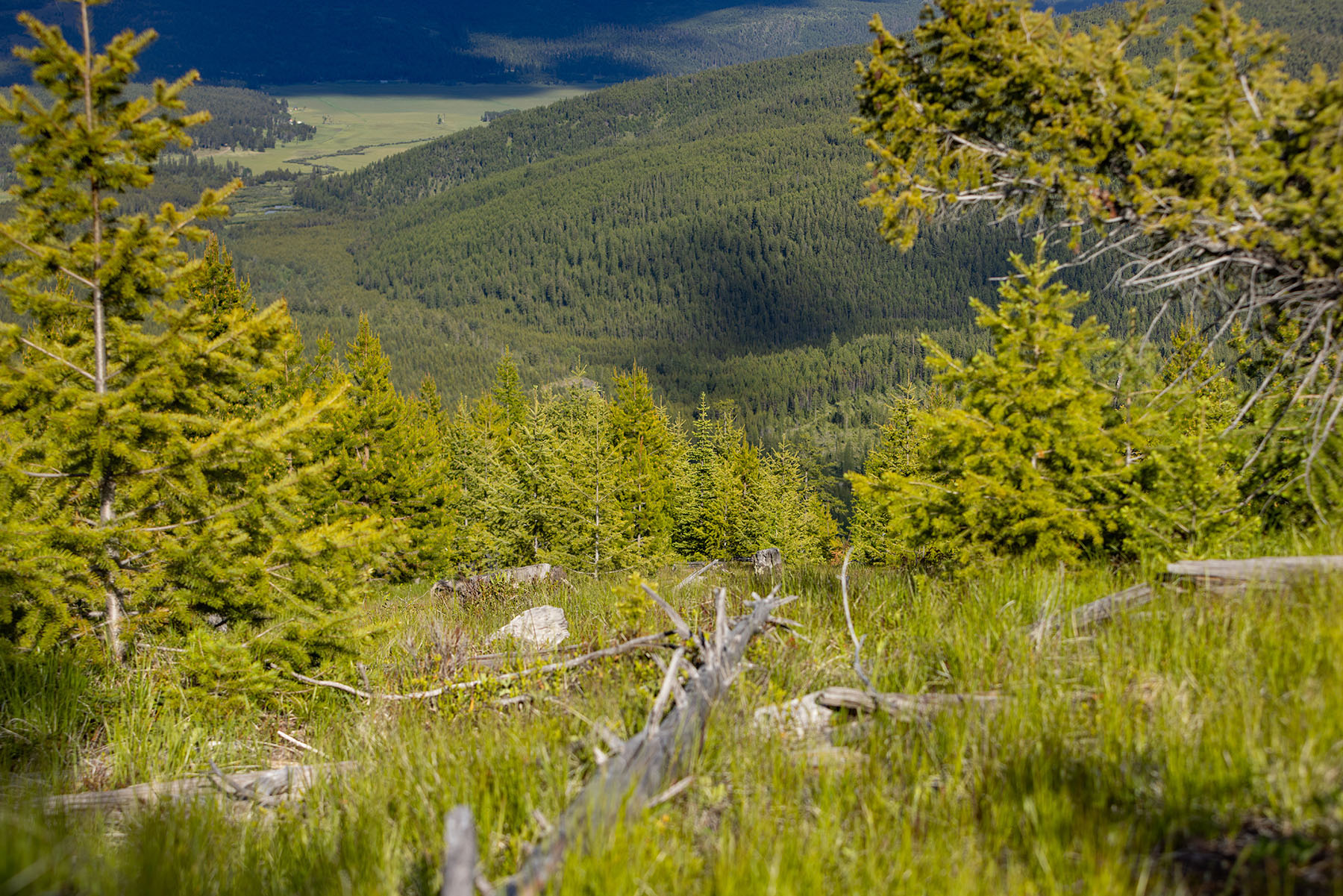 Haskill Mountain Retreat property picture 46 of 46