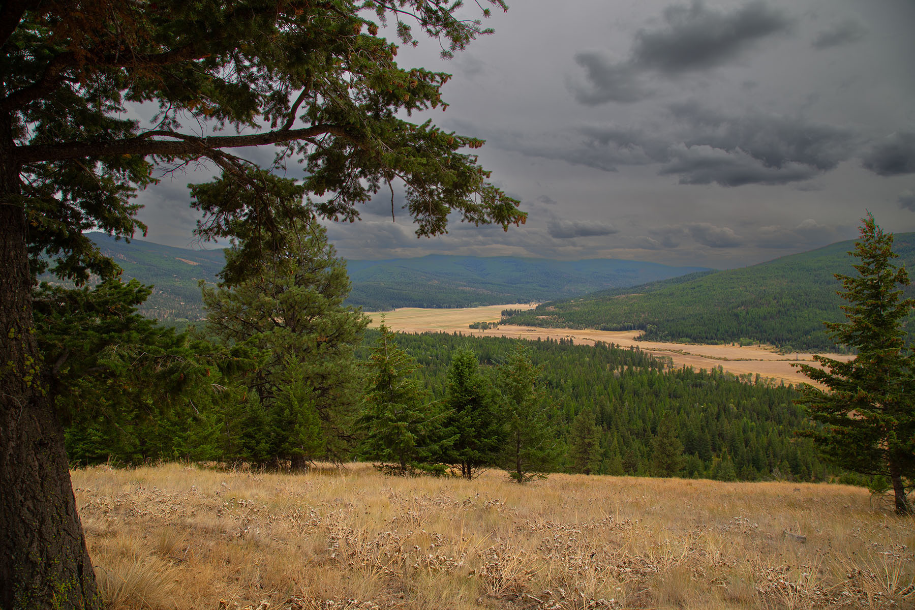 Haskill Mountain Retreat property picture 20 of 46