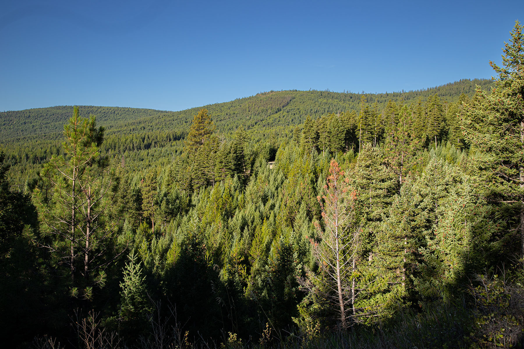 Haskill Mountain Retreat property picture 39 of 46