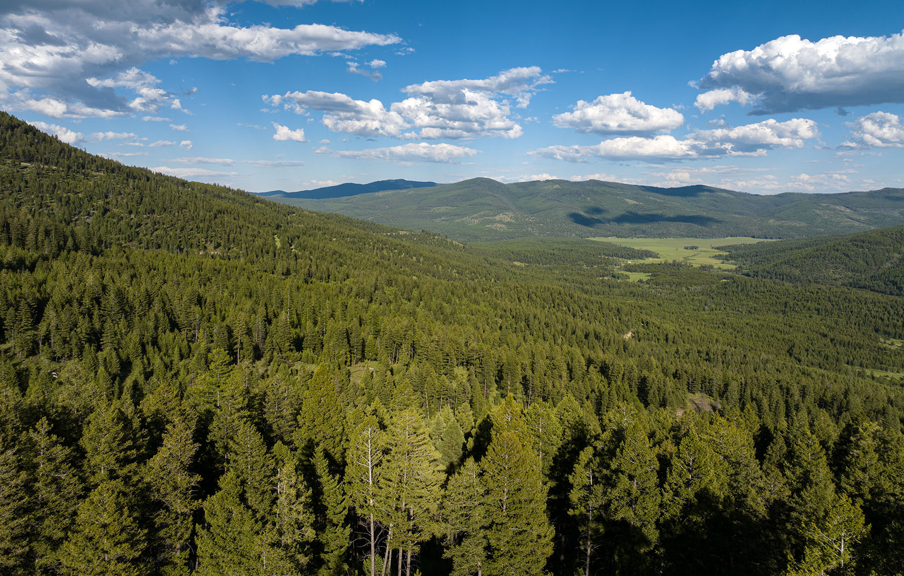 Haskill Mountain Retreat property picture 8 of 46