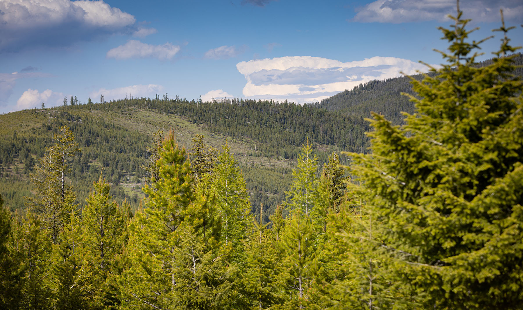 Haskill Mountain Retreat property picture 44 of 46