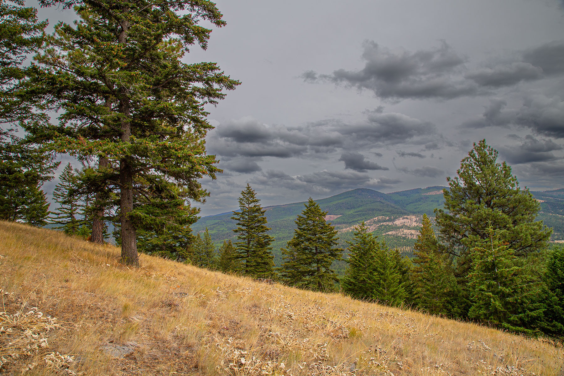 Haskill Mountain Retreat property picture 22 of 46