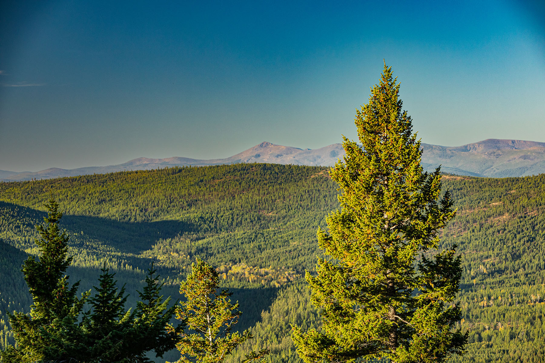 Haskill Mountain Retreat property picture 14 of 46