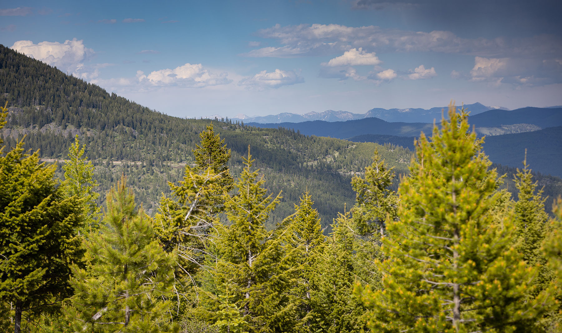 Haskill Mountain Retreat property picture 3 of 46