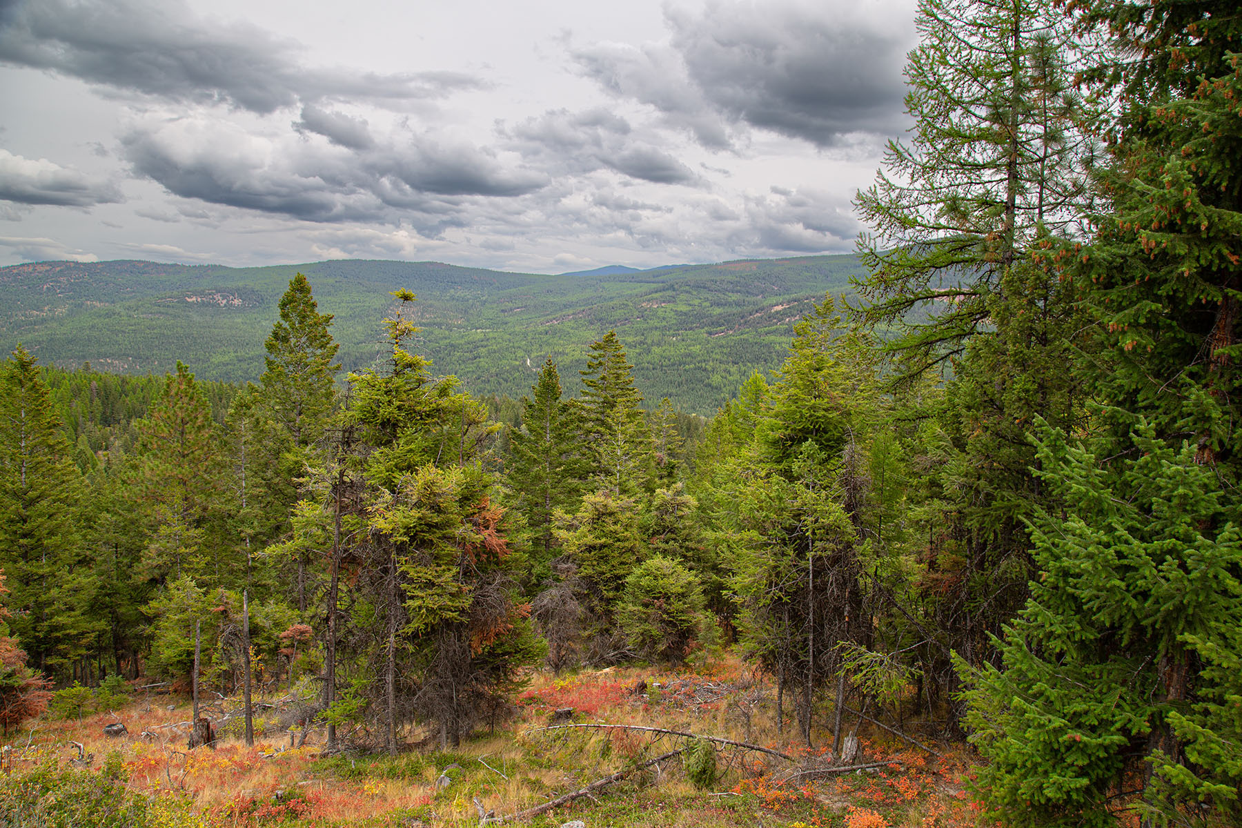 Haskill Mountain Retreat property picture 18 of 46