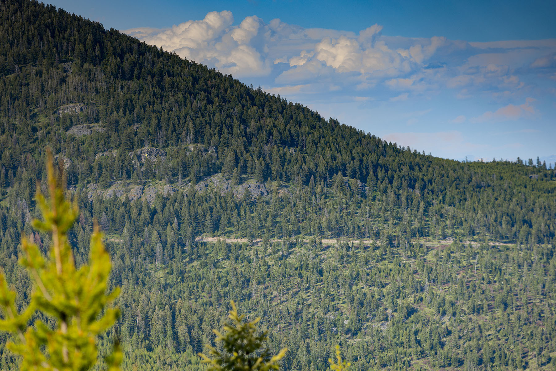 Haskill Mountain Retreat property picture 45 of 46