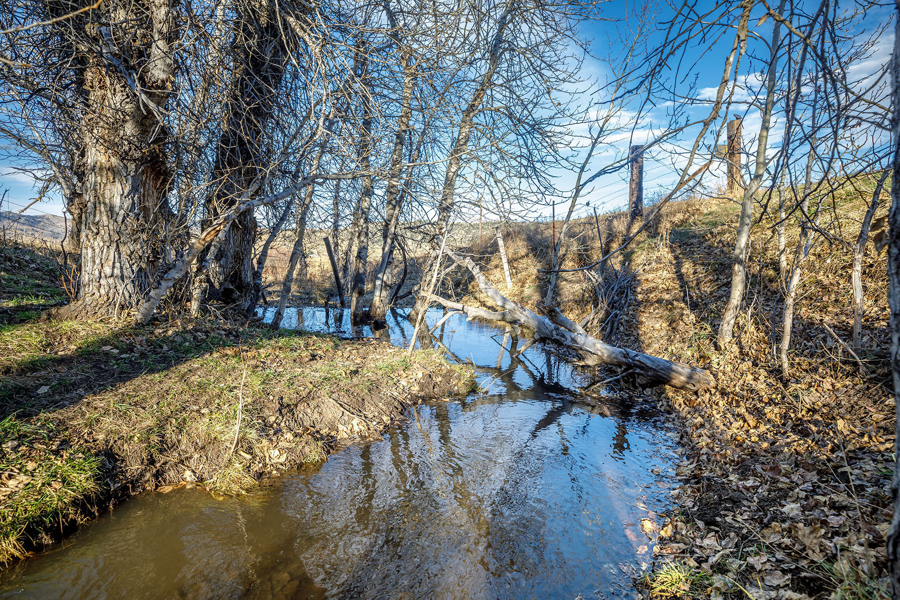 Beartooth Foothills Ranch property picture 12 of 26