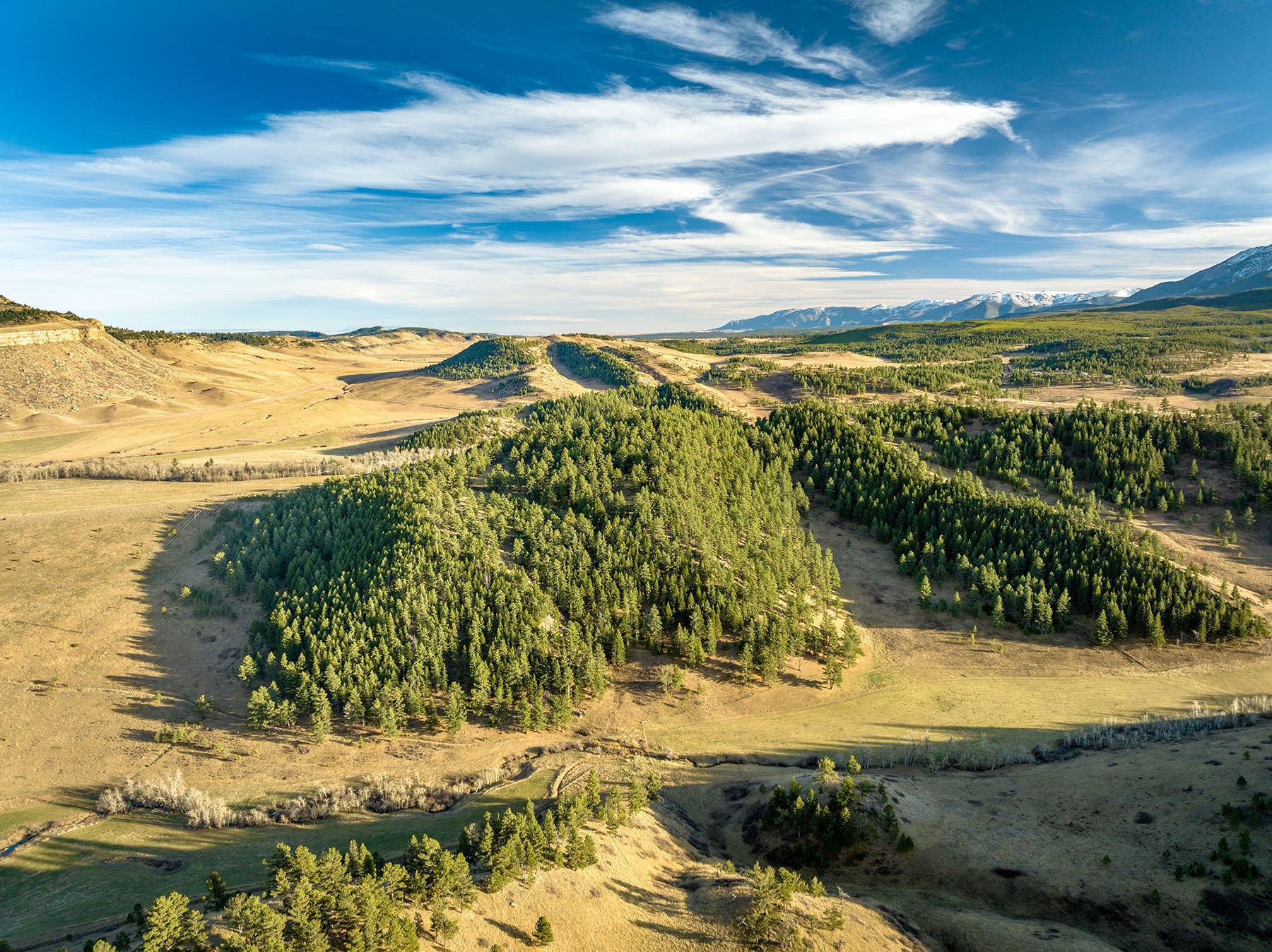 Beartooth Foothills Ranch property picture 19 of 26