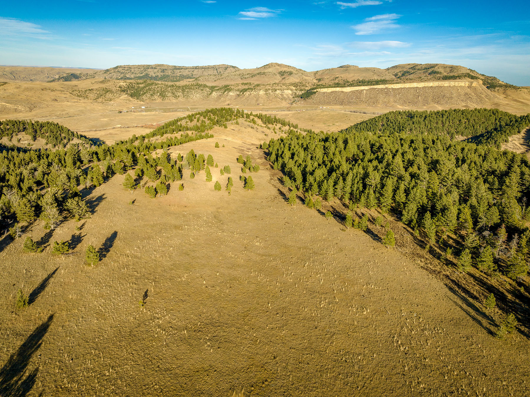 Beartooth Foothills Ranch property picture 5 of 26