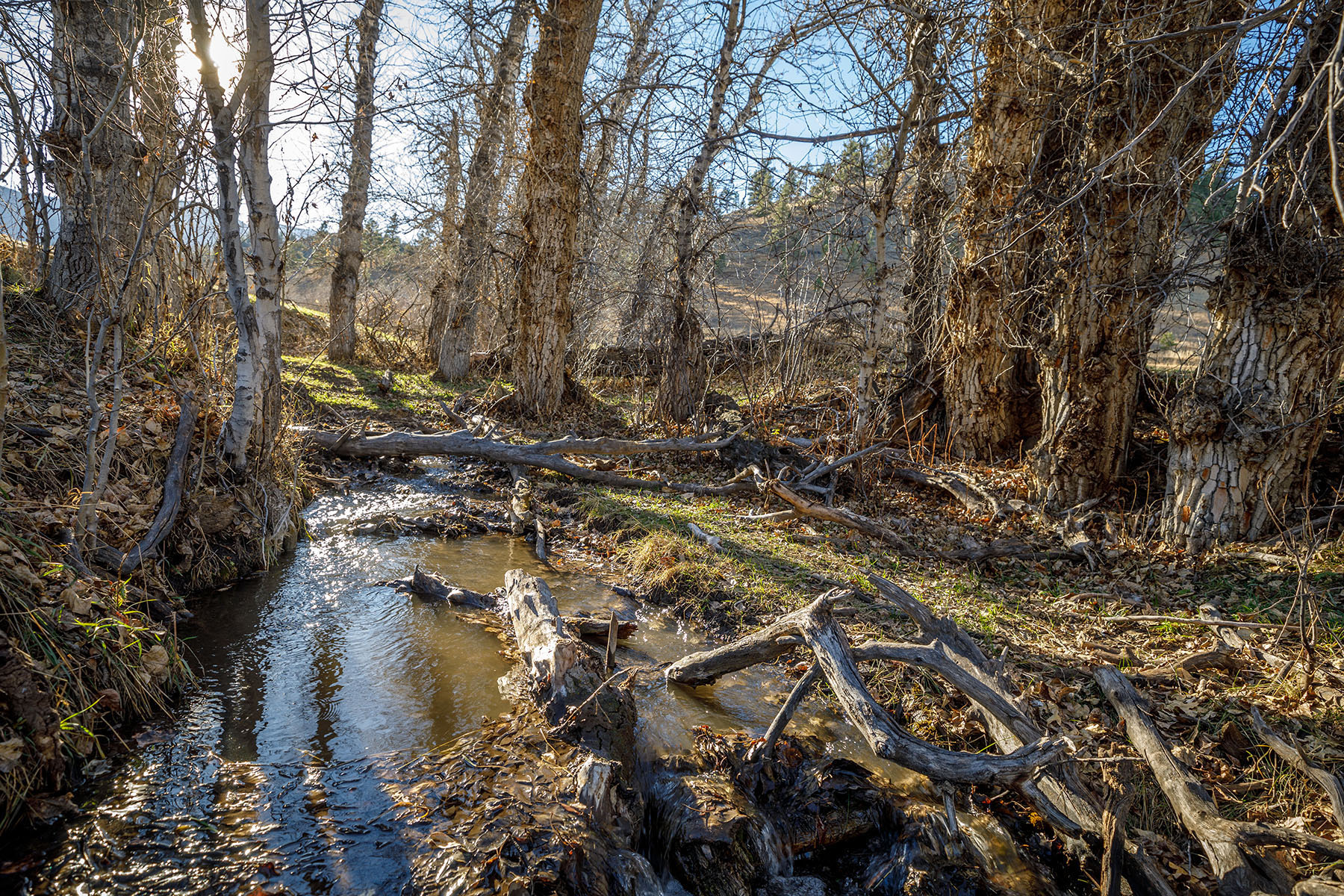 Beartooth Foothills Ranch property picture 13 of 26
