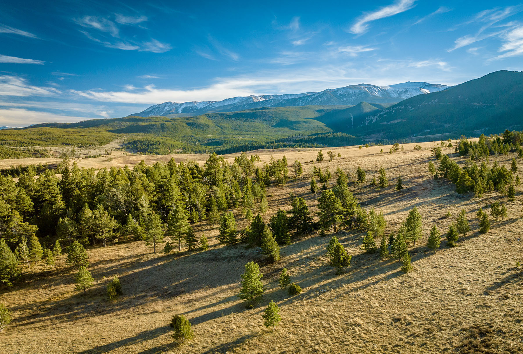 Beartooth Foothills Ranch property picture 6 of 26