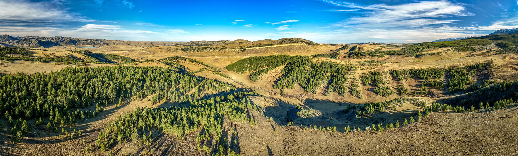 Beartooth Foothills Ranch property picture 8 of 26