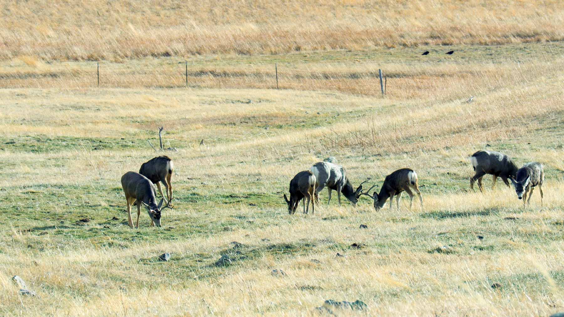 Beehive Ranch property picture 21 of 31