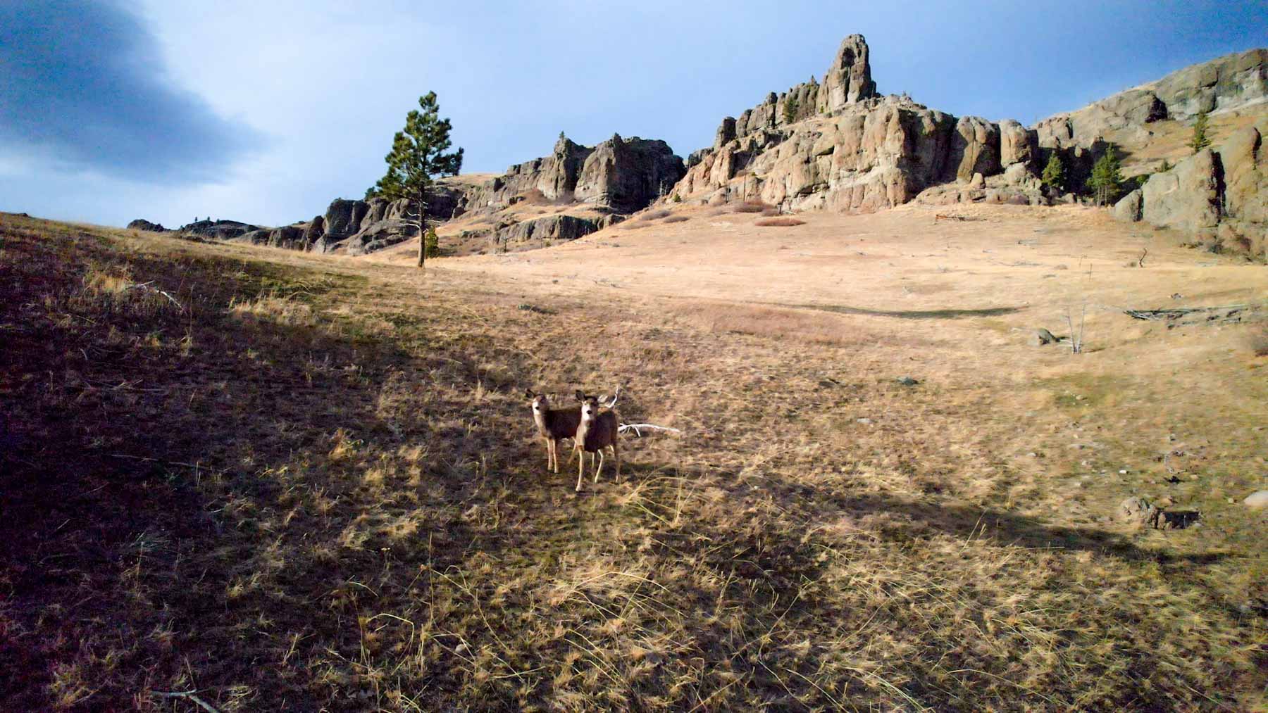 Beehive Ranch property picture 20 of 31