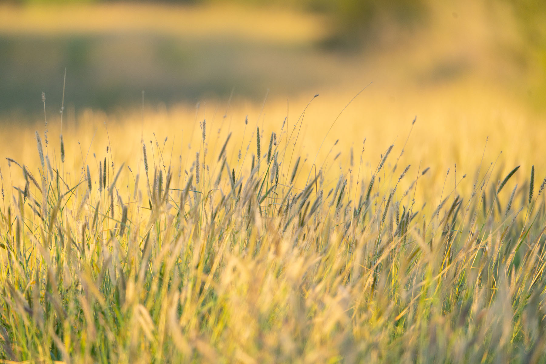 West Webb Ranch property picture 7 of 27