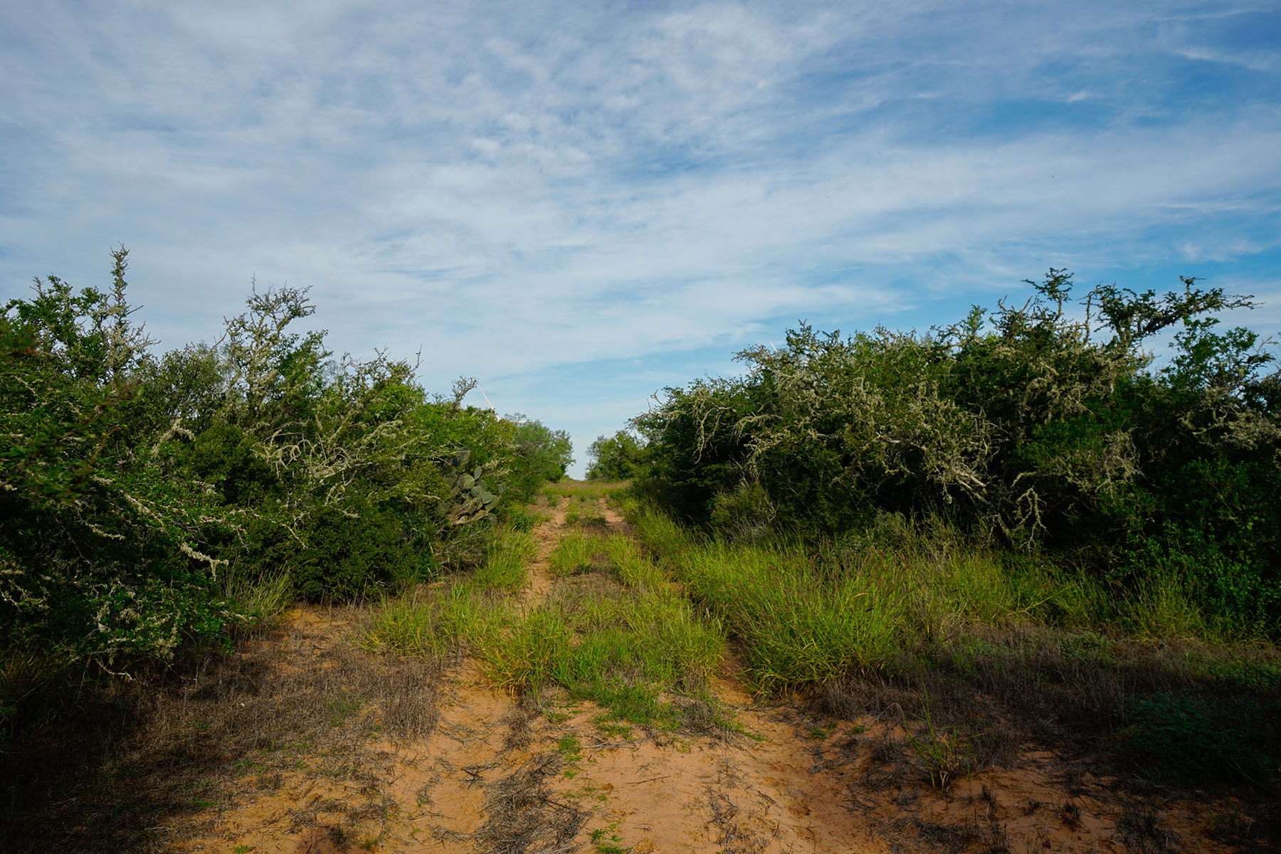 West Webb Ranch property picture 15 of 27