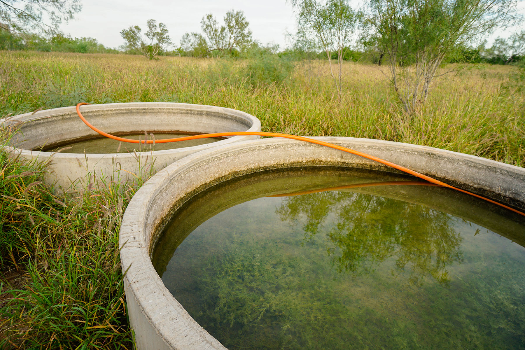 West Webb Ranch property picture 23 of 27