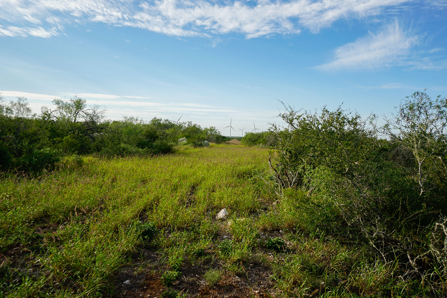 West Webb Ranch property picture 14 of 27