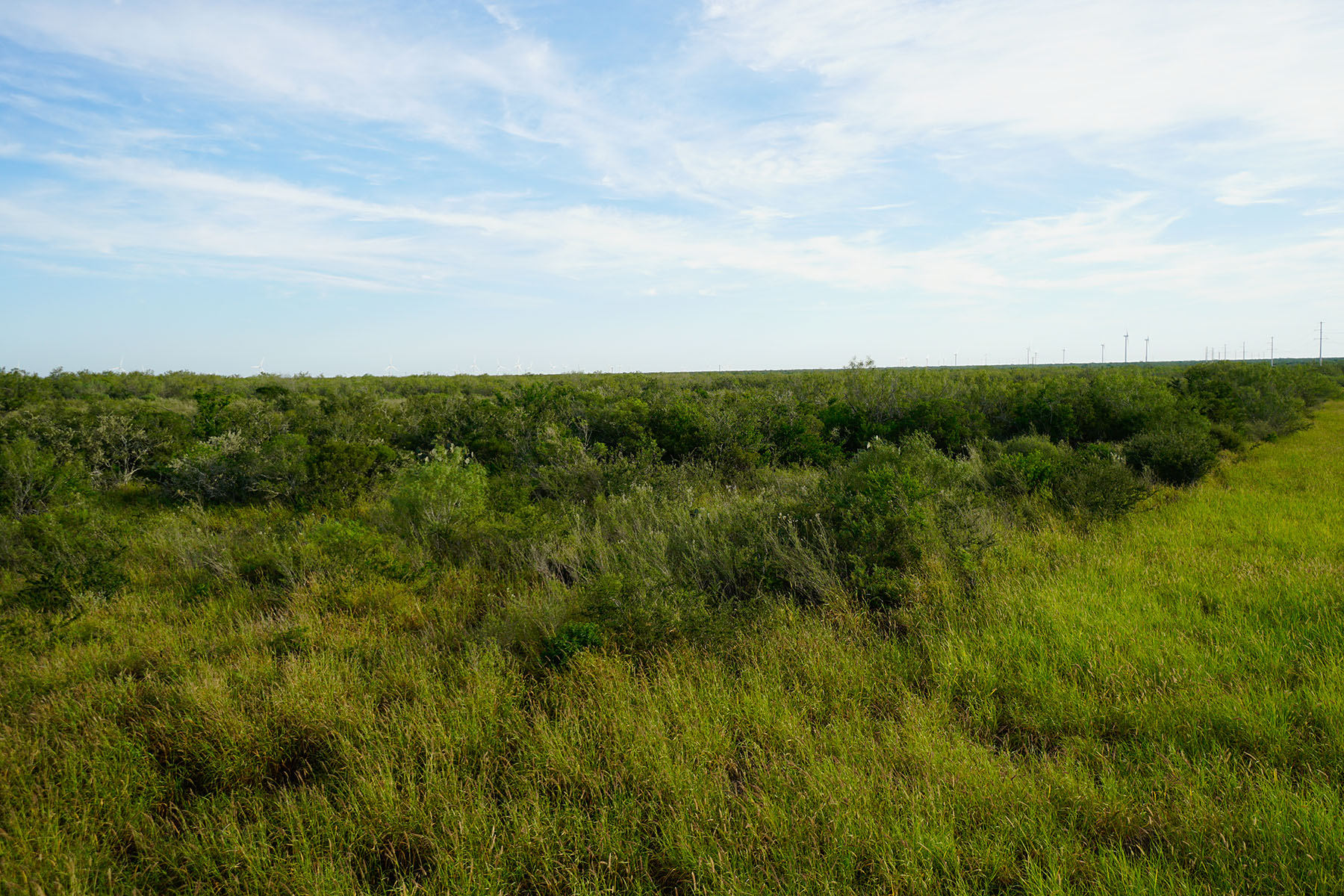 West Webb Ranch property picture 21 of 27