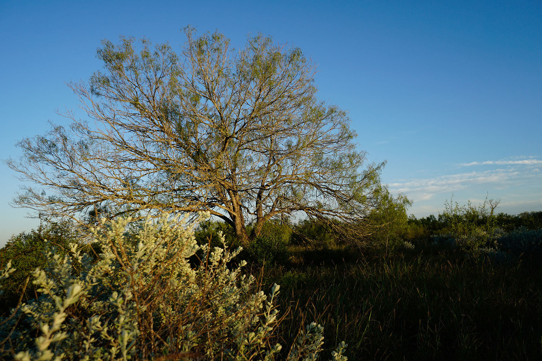 West Webb Ranch property picture 12 of 27