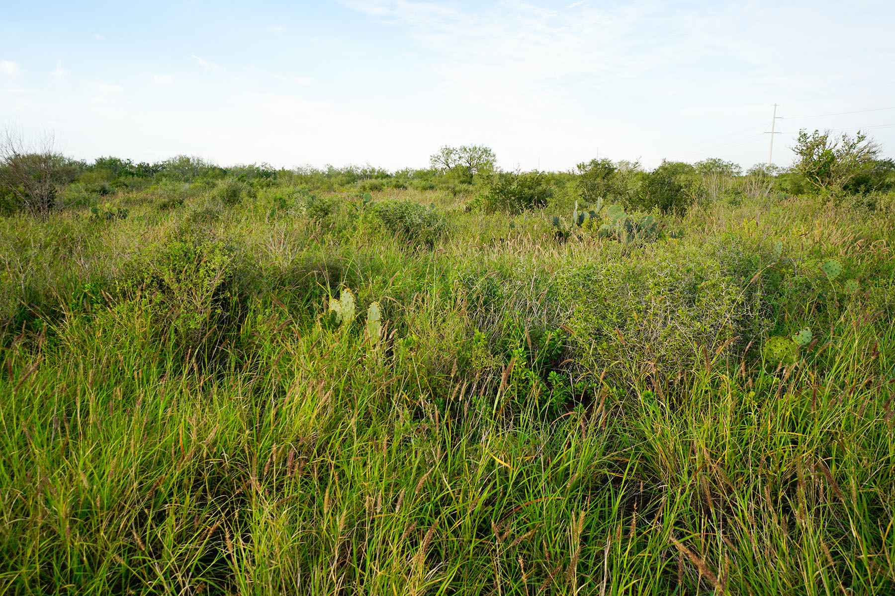 West Webb Ranch property picture 27 of 27