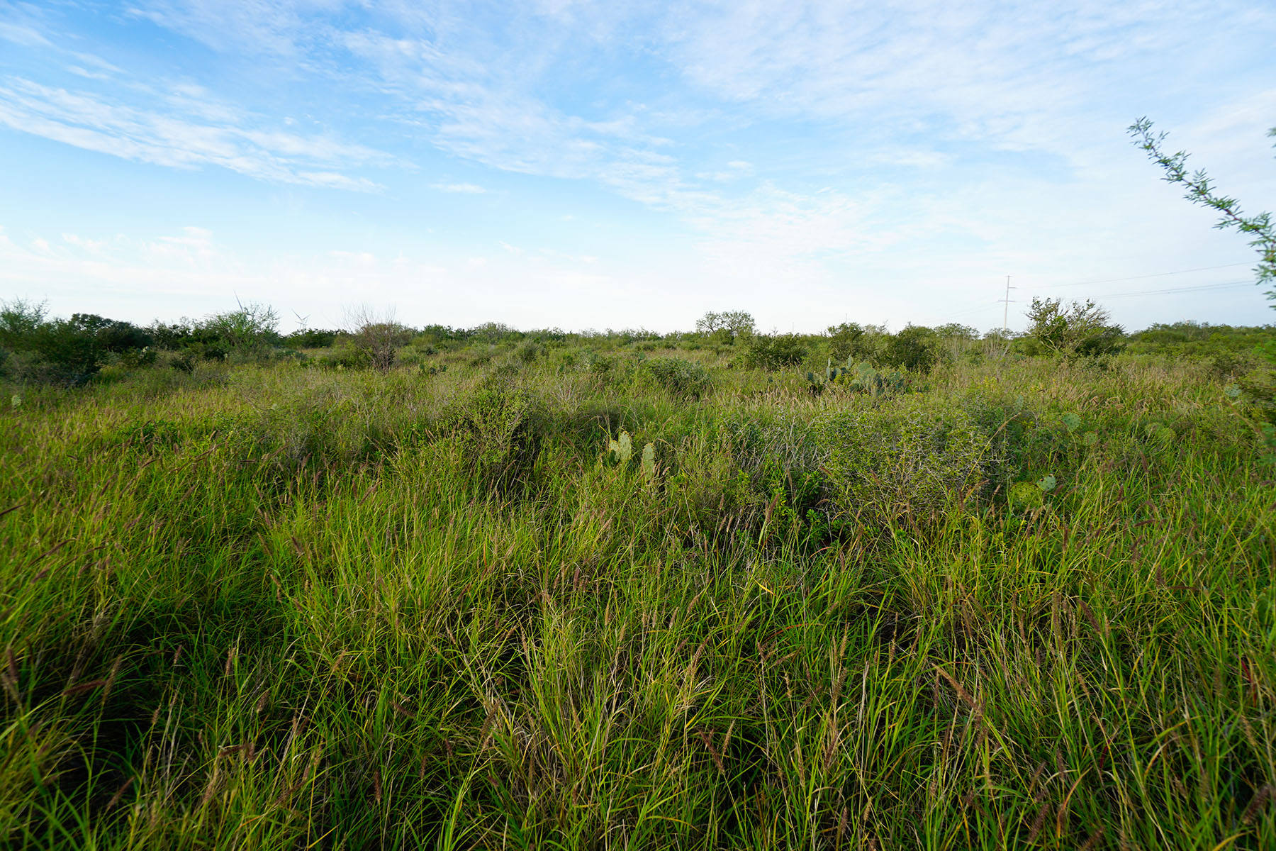 West Webb Ranch property picture 25 of 27