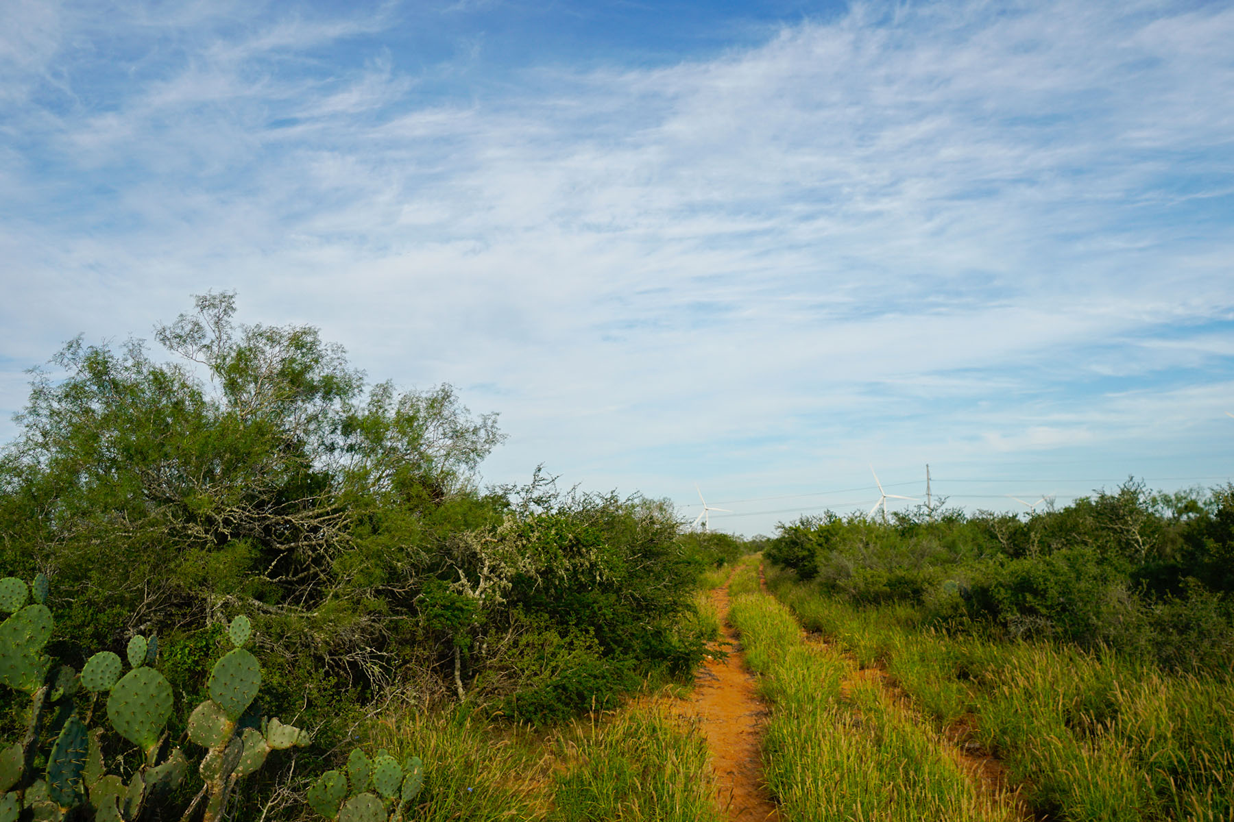West Webb Ranch property picture 20 of 27