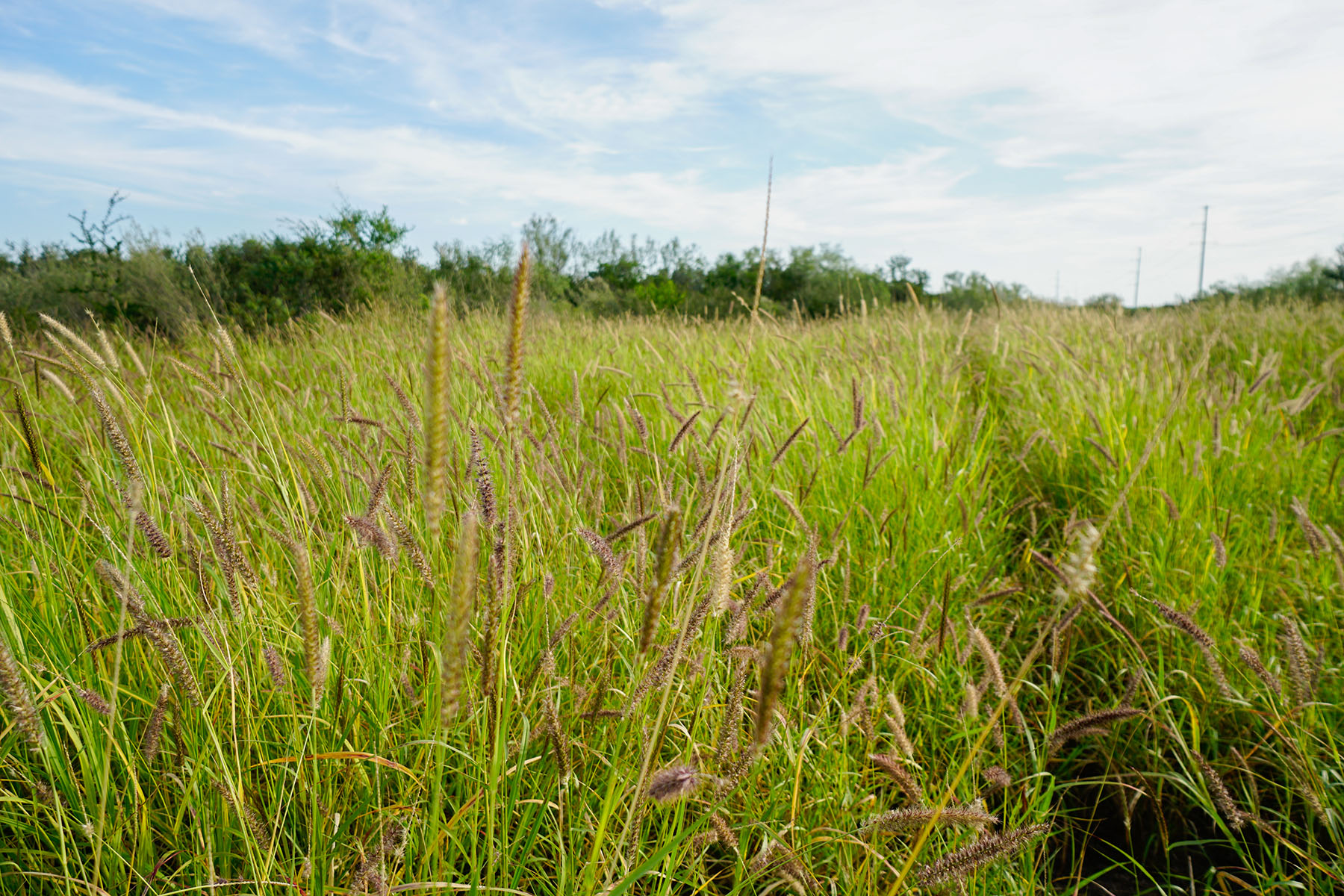West Webb Ranch property picture 17 of 27