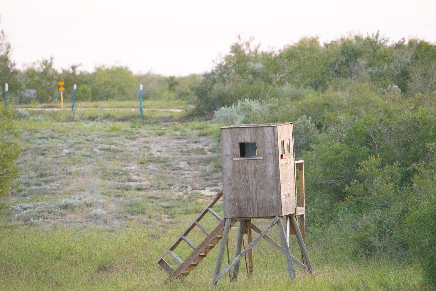 West Webb Ranch property picture 6 of 27