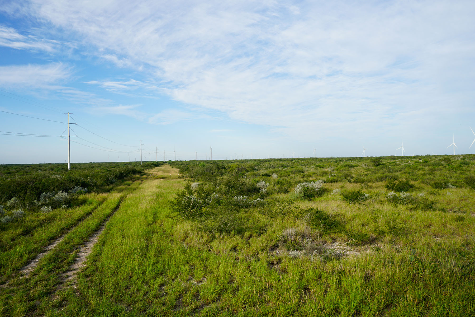 West Webb Ranch property picture 18 of 27