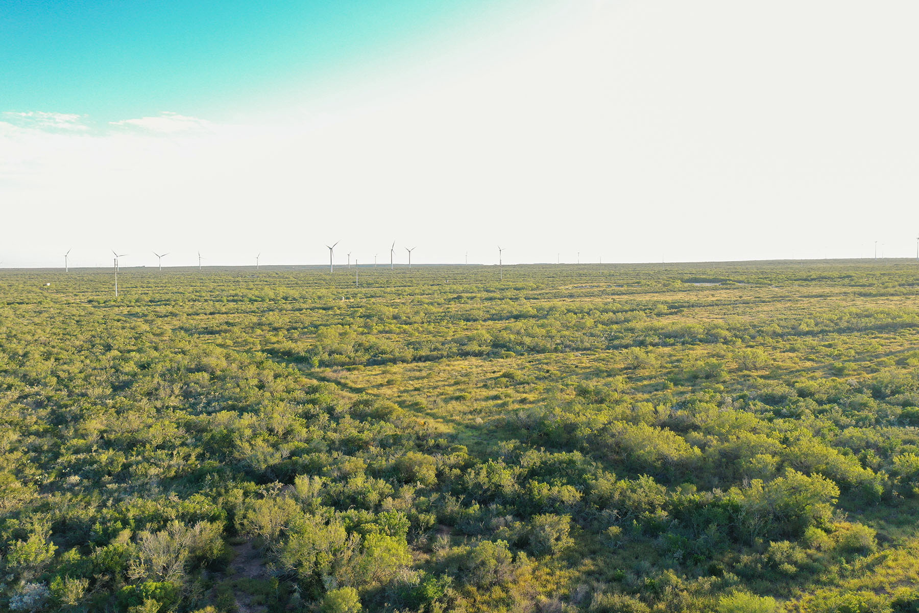 West Webb Ranch property picture 11 of 27