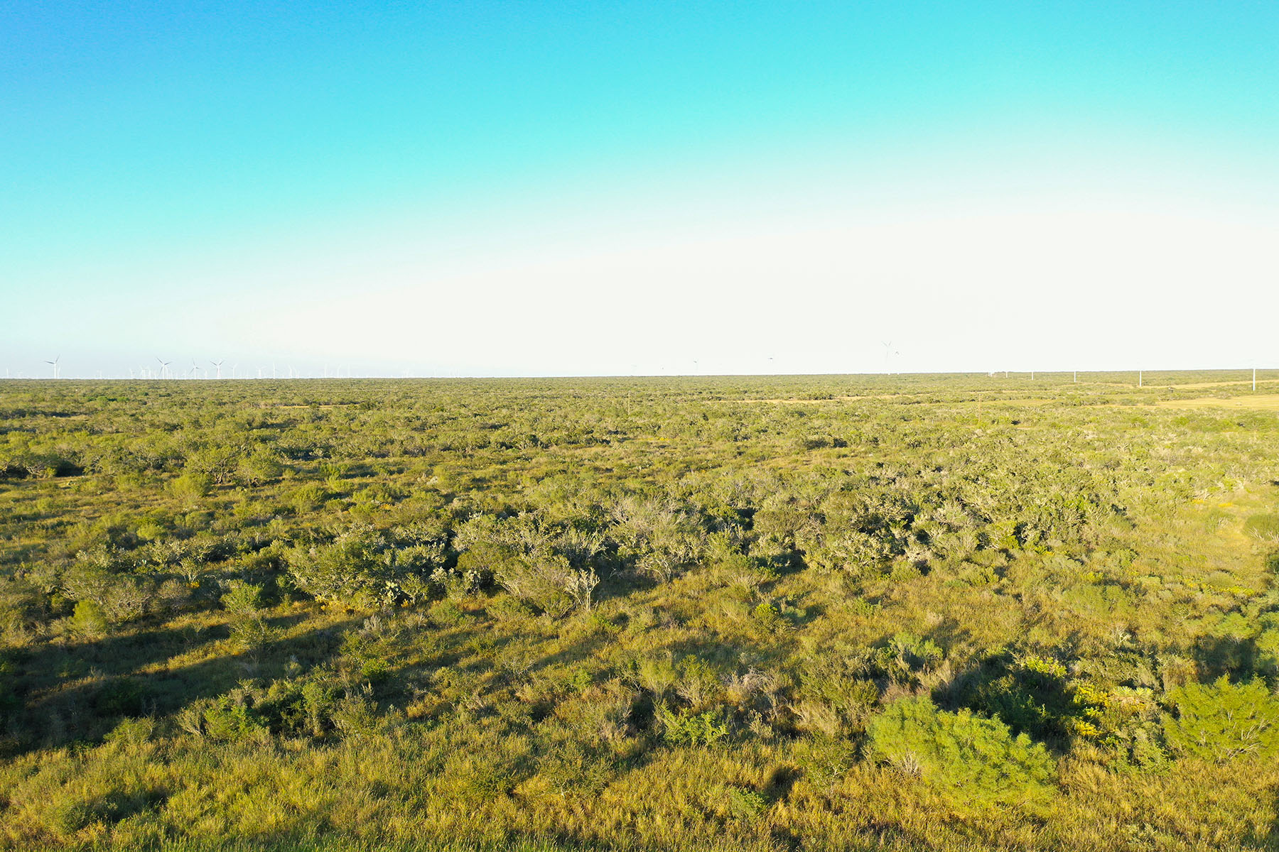 West Webb Ranch property picture 10 of 27