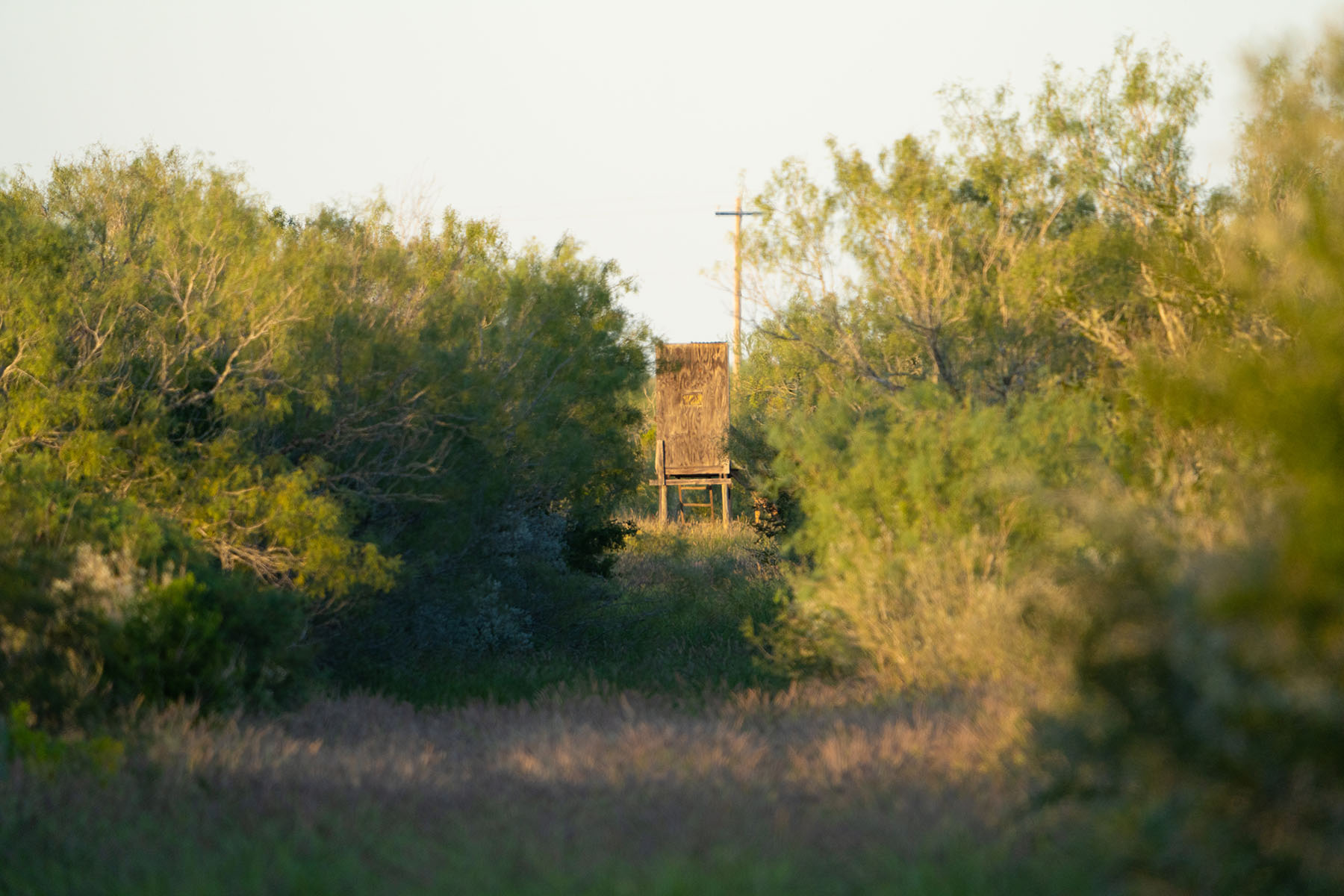 West Webb Ranch property picture 3 of 27