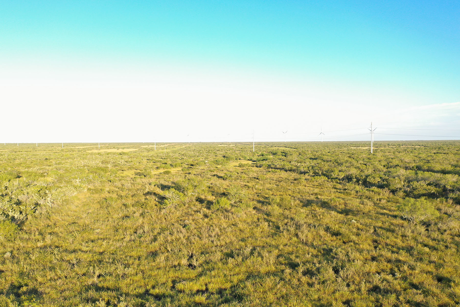 West Webb Ranch property picture 13 of 27