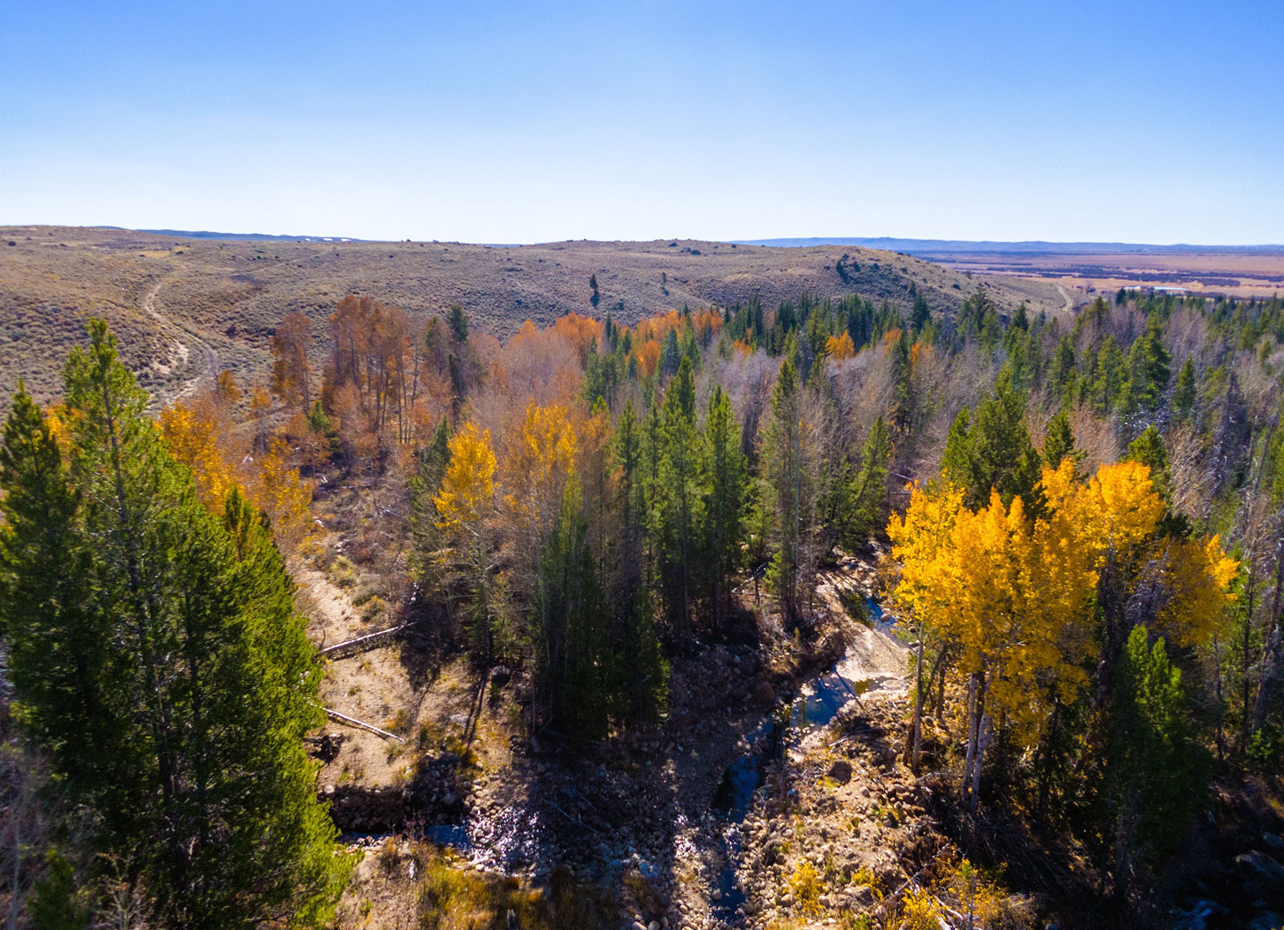 Binning Willow Creek Ranch property picture 11 of 25