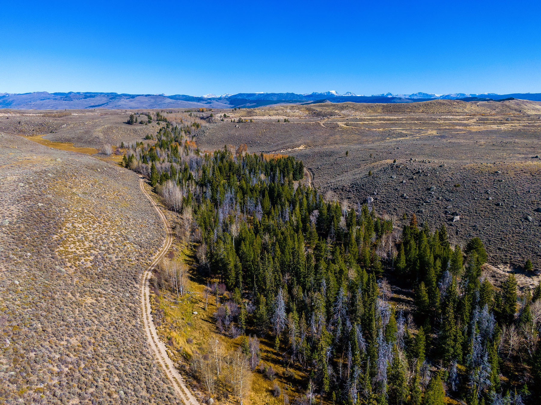 Binning Willow Creek Ranch property picture 3 of 25
