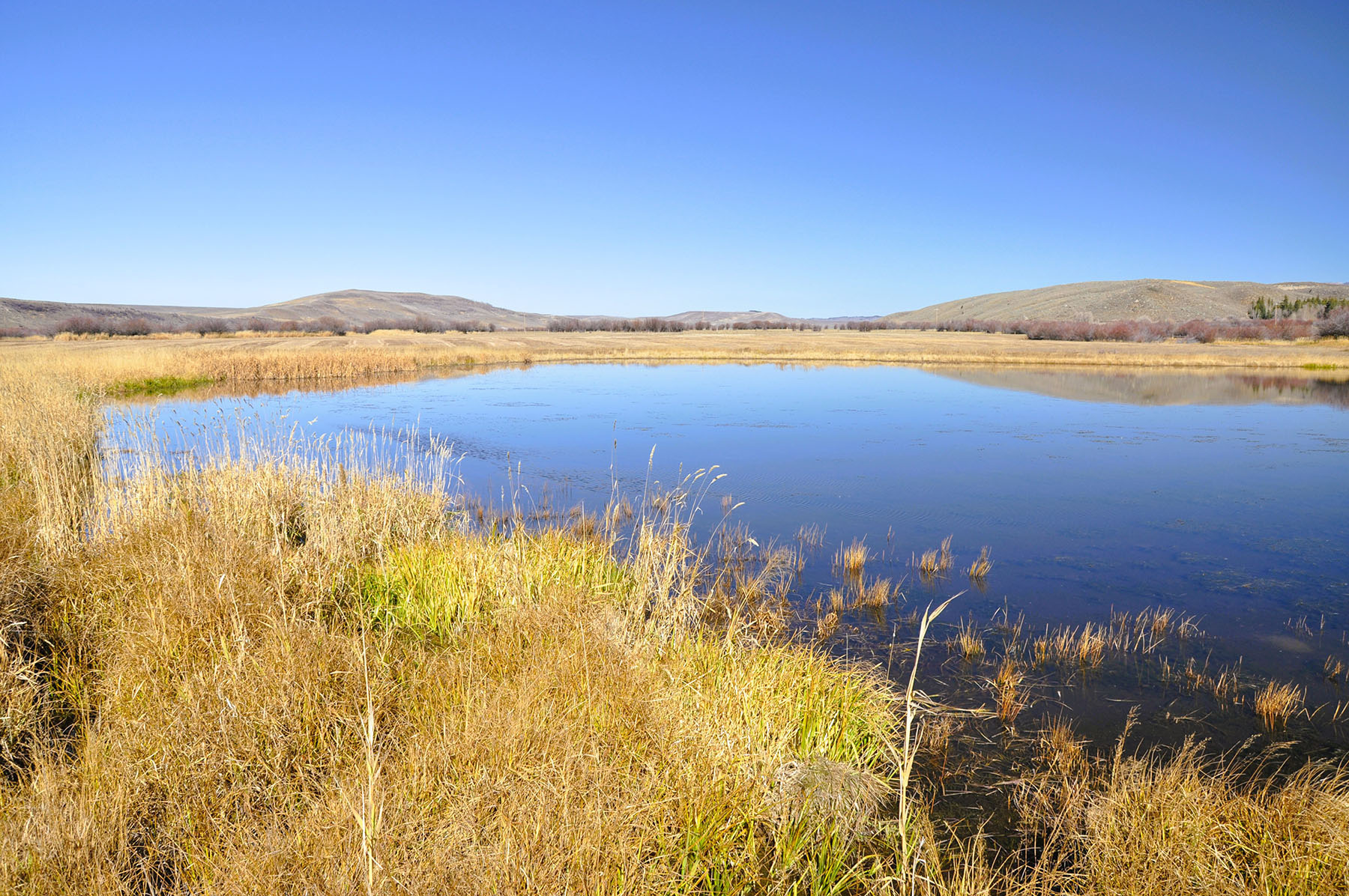 Binning Willow Creek Ranch property picture 14 of 25