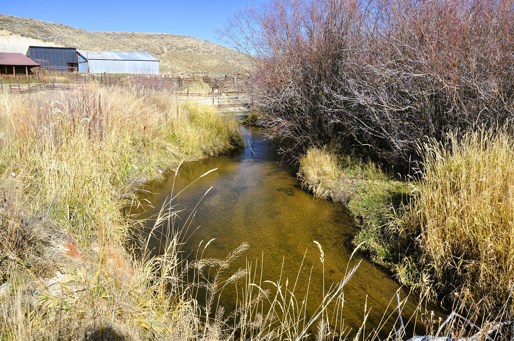 Binning Willow Creek Ranch property picture 7 of 25